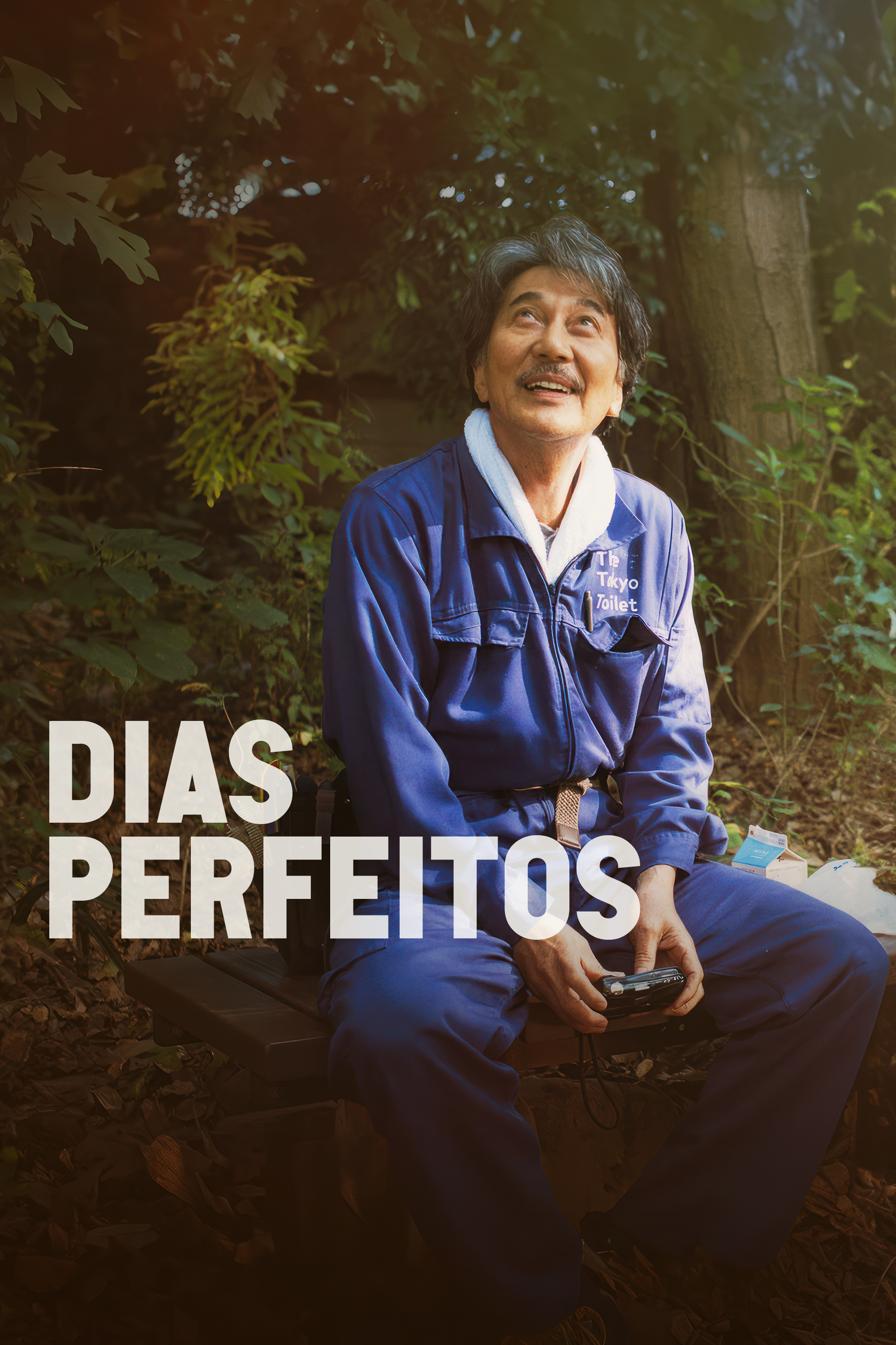 Dias perfeitos